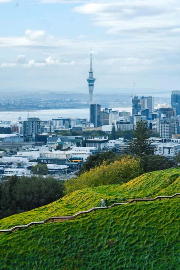 Auckland: Private Walking Tour with a Local - Key points you will actually care about