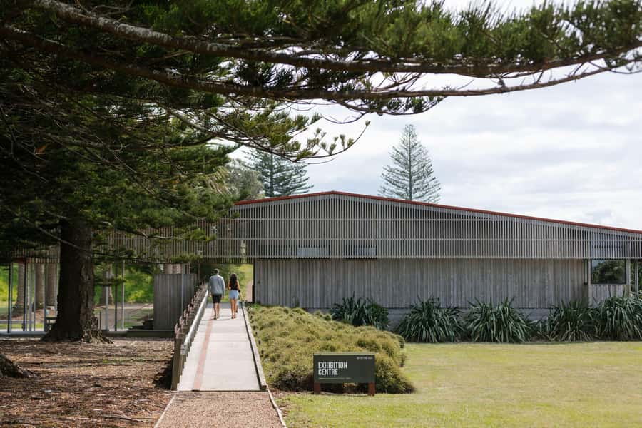 Auckland: Rotoroa Island and Man O'War Vineyard Combo Tour - Why this Waiheke combo tour works so well from Auckland