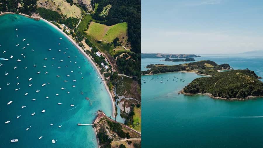 Auckland: Rotoroa Island and Man O'War Vineyard Combo Tour - Getting from Auckland: check in early, then let the ferries do the work