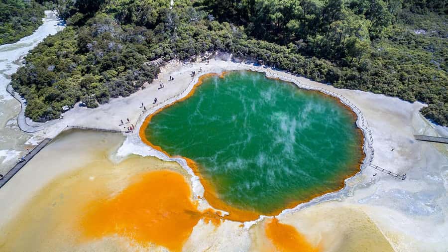 Auckland: Rotorua Highlights inc Wai-O-Tapu & Polynesian Spa - Polynesian Spa Deluxe Lake Spa entry: soak time with views over Lake Rotorua