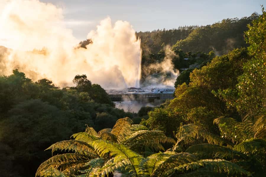 Auckland: Rotorua Highlights inc Wai O Tapu & Te Puia Tour - Auckland Pickup to Waikato Coffee Break, Expect a Real Road Day