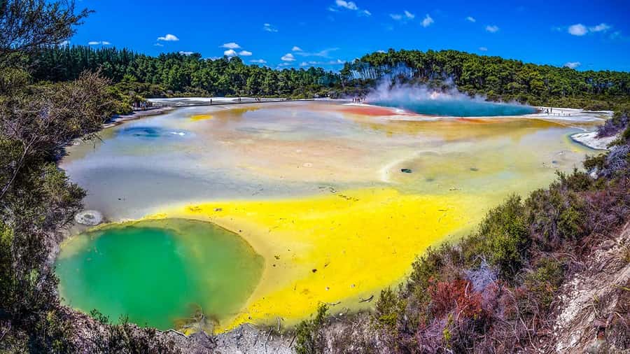 Auckland: Rotorua Highlights w WaiOTapu & Redwoods Treewalk - Key things to know before you book