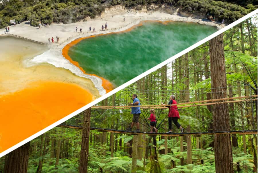 Auckland: Rotorua Highlights w WaiOTapu & Redwoods Treewalk - Auckland to Rotorua: Waikato farm country and a real road trip day