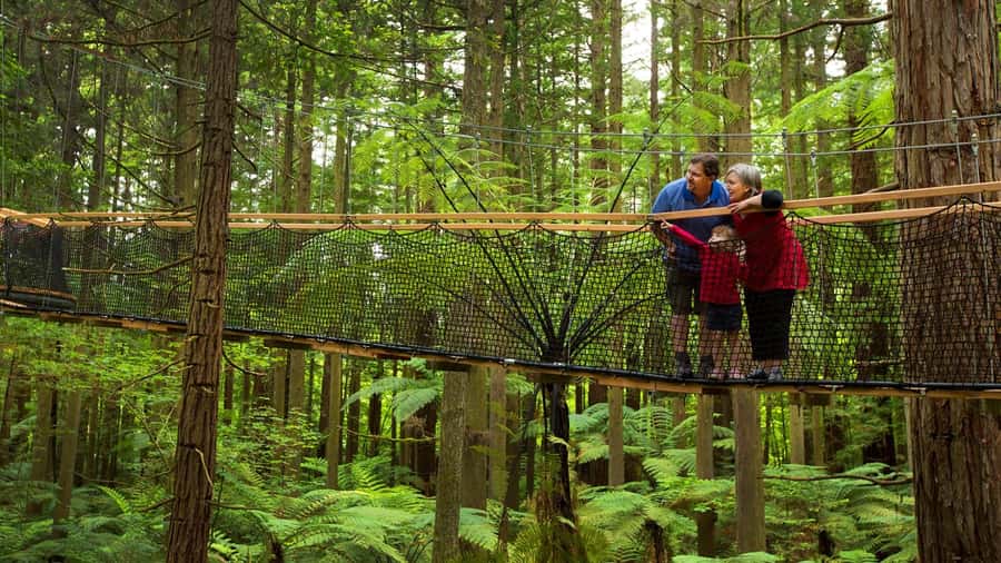 Auckland: Rotorua Highlights w WaiOTapu & Redwoods Treewalk - Lunch gap and the rest of the geothermal story