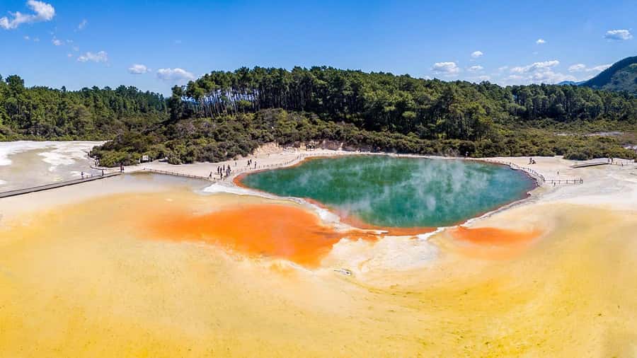 Auckland: Rotorua Highlights w WaiOTapu & Redwoods Treewalk - Whakarewarewa Forest Redwoods Treewalk: walking high above the forest floor