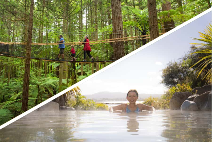 Auckland: Rotorua Highlights with Redwoods Treewalk & Spa - Key points to know before you go