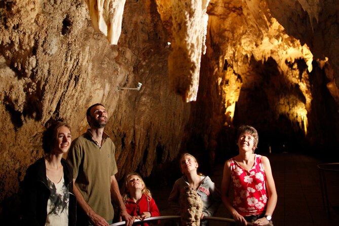 Auckland: Rotorua Māori Village, Waitomo Caves & Lunch - Timing, comfort, and how the max 11 traveler group shapes your day