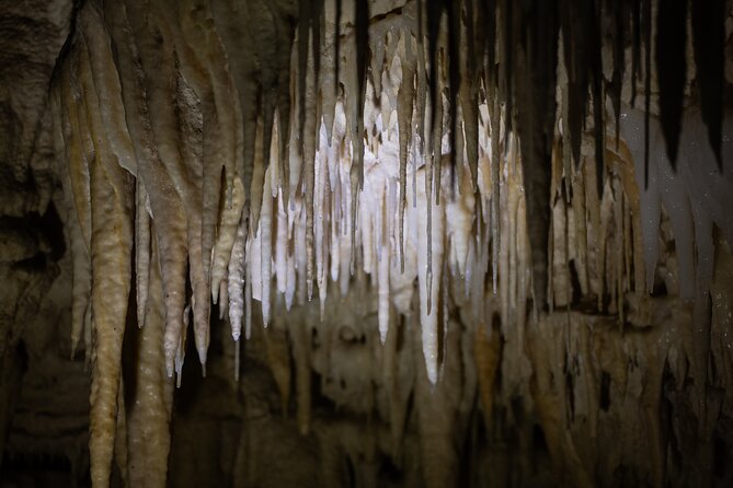 Auckland: Rotorua Māori Village, Waitomo Caves & Lunch - FAQ