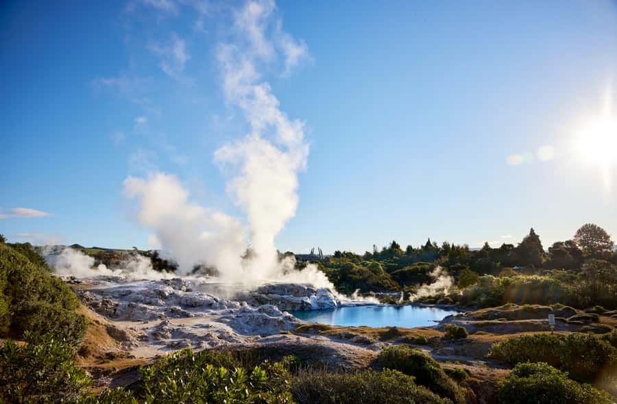 Auckland: Rotorua Māori Village & Waitomo Caves with Lunch - Lunch on the move: picnic-style and built for time
