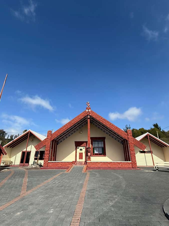 Auckland: Rotorua Māori Village & Waitomo Caves with Lunch - Price and value: what you really get for $248 per person