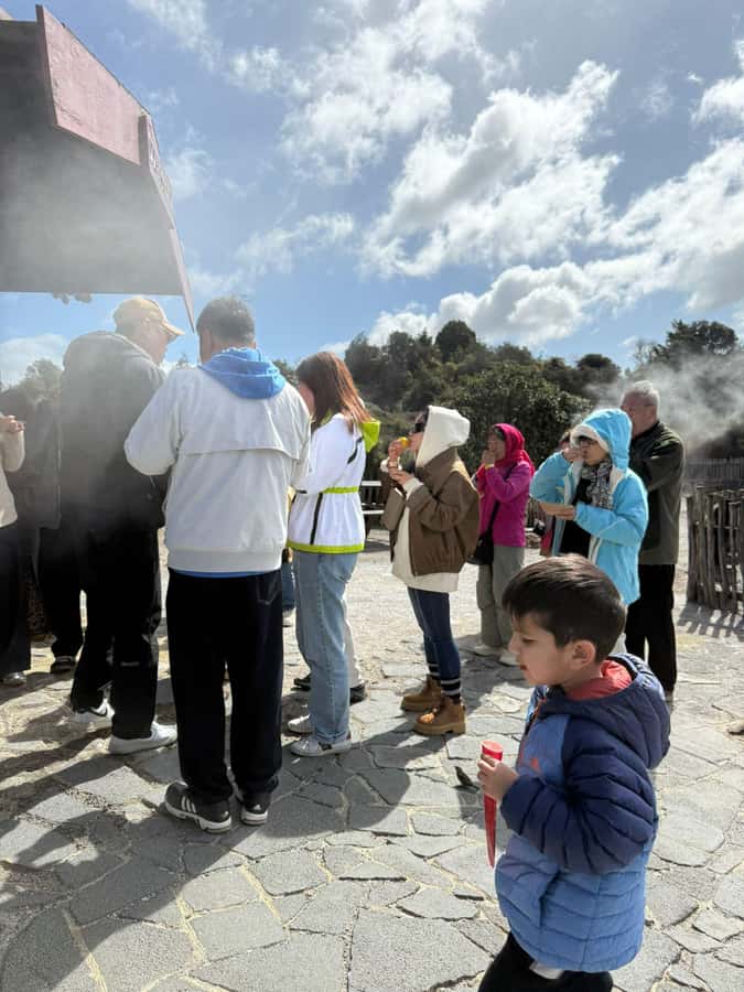 Auckland: Rotorua Māori Village & Waitomo Caves with Lunch - Who should book this tour