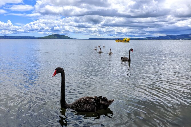 Auckland: Rotorua, Taupo, Waiotapu & Huka Falls Private Trip - The private guide factor, and why reviews keep praising it
