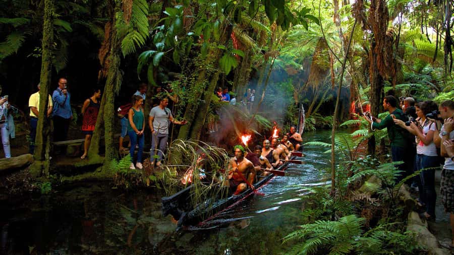 Auckland: Rotorua Tour with Mitai Māori Village & Wai-O-Tapu - Should you book the Auckland to Rotorua tour with Mitai Māori Village and Wai-O-Tapu?