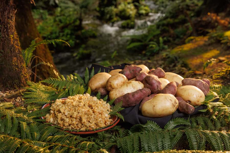 Auckland: Rotorua Tour with Mitai Māori Village & Wai-O-Tapu - Timing and pacing, how to survive a 13-hour day