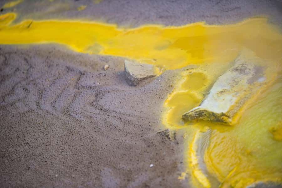 Auckland: Rotorua Tour with Mitai Māori Village & Wai-O-Tapu - Price and value, what you get for about $283 per person