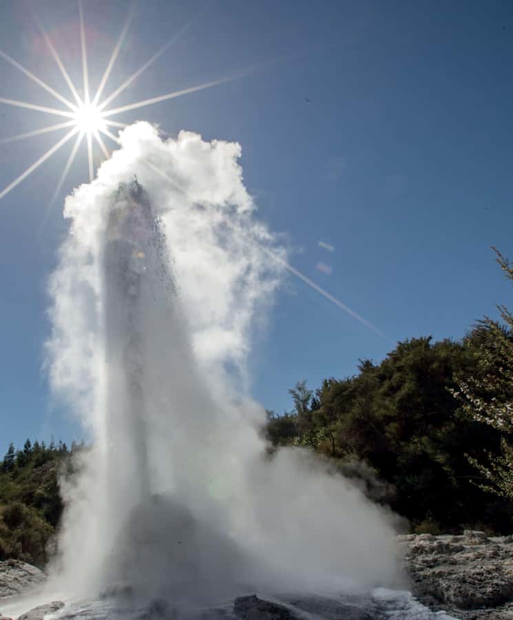 Auckland: Rotorua Wai-O-Tapu, Te Puia with Haka - Who this Rotorua tour suits best