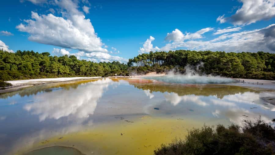 Auckland: Rotorua Wai-O-Tapu, Te Puia with Haka - Auckland pickup and the Rotorua drive: how to make the long day easier