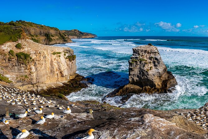 Auckland's Wild West Coast & Black Sand Beaches Tour inc Lunch - Your Guide and Minibus: The Real Value Add