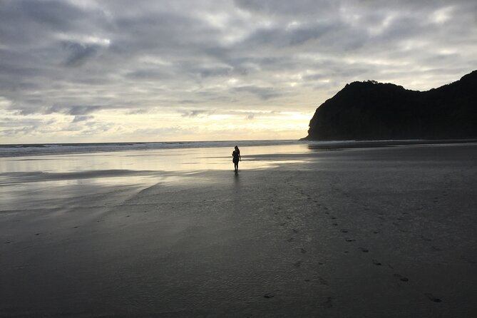 Auckland's Wild West Coast & Black Sand Beaches Tour inc Lunch - Price and Value at $108.60 Per Person