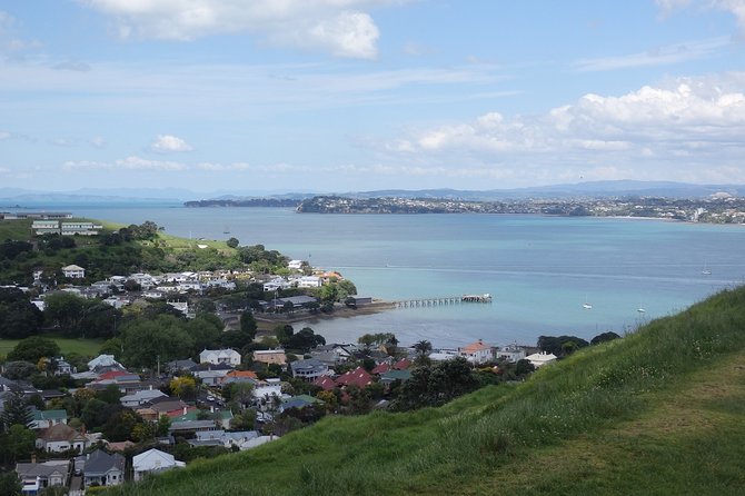 Auckland Scenic Day Tour Full-Day- 8 HOURS - West Auckland Coast: Muriwai Beach Black Sand and Gannet Breeding Views