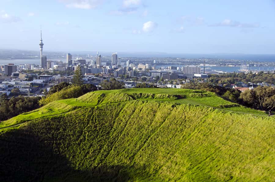 Auckland Scenic Half-Day City Sightseeing Tour - Key Highlights You’ll Really Notice