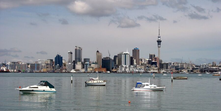 Auckland Scenic Half-Day City Sightseeing Tour - How the 4 Hours Feel in Real Life (Packed, But Not Chaotic)