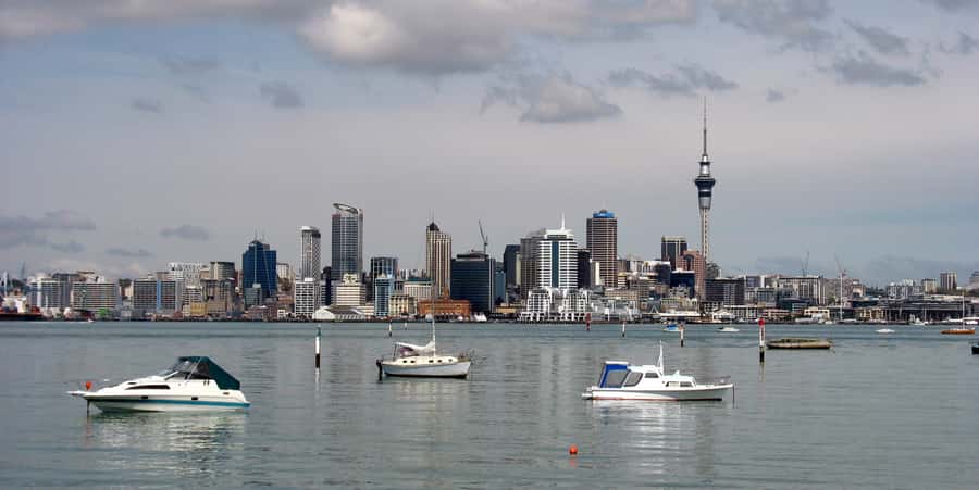 Auckland Scenic Half-Day City Sightseeing Tour - Where You Meet and How the Tour Sets Up Your Auckland Map