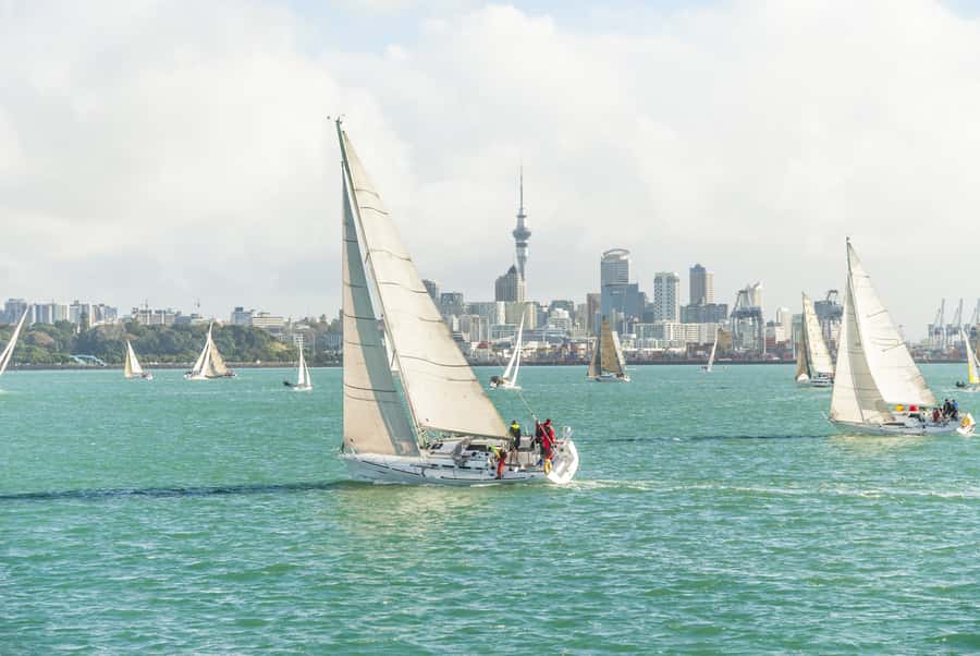 Auckland Scenic Half-Day City Sightseeing Tour - Northcote Point: The Photo Stop That Helps Everything Click