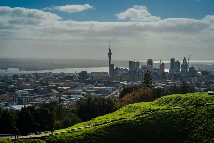 Auckland Scenic Half-Day City Sightseeing Tour - From Parnell to the Eastern Beaches: Auckland Gets Greener and Breezier