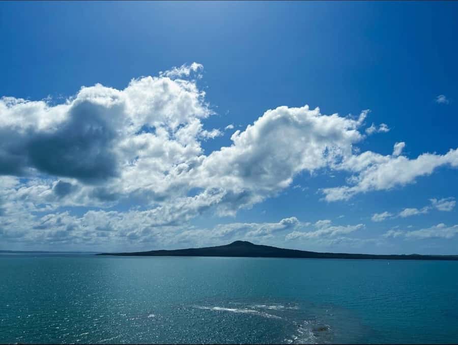 Auckland: Scenic Harbour Cruise with Live Commentary - The first stretch, about 20 minutes: skyline and harbour bridge moments