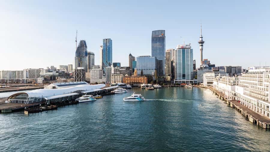 Auckland: Scenic Harbour Sightseeing Cruise - Sailing Under the Harbour Bridge and Spotting the Sky Tower