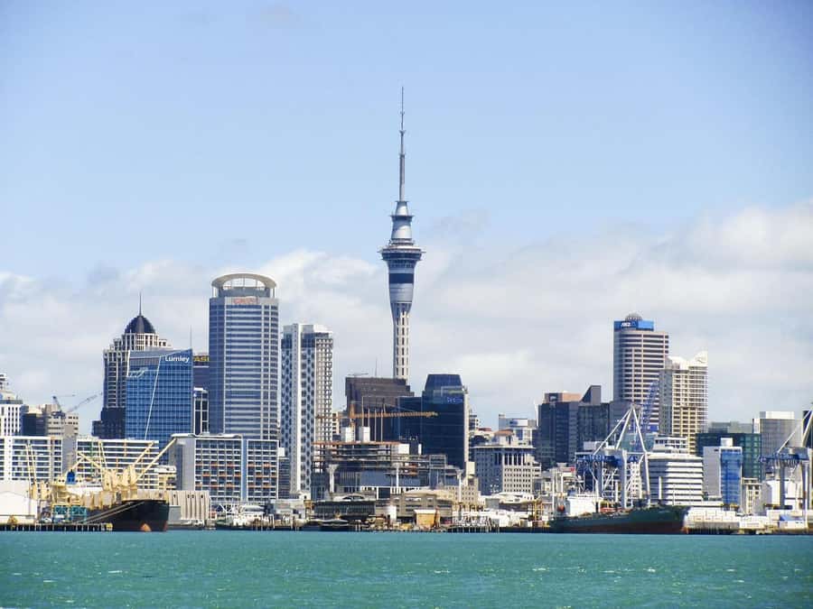 Auckland: Scenic Wine and Cheese Harbour Cruise - Key things to know before you go