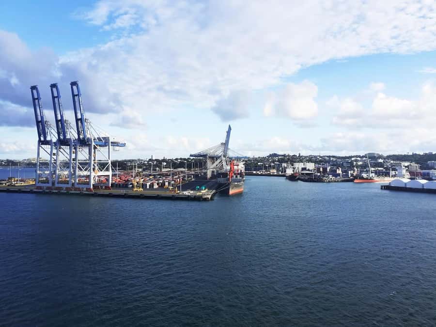 Auckland: Scenic Wine and Cheese Harbour Cruise - The vibe onboard: relaxed, social, and easy to pair with your day