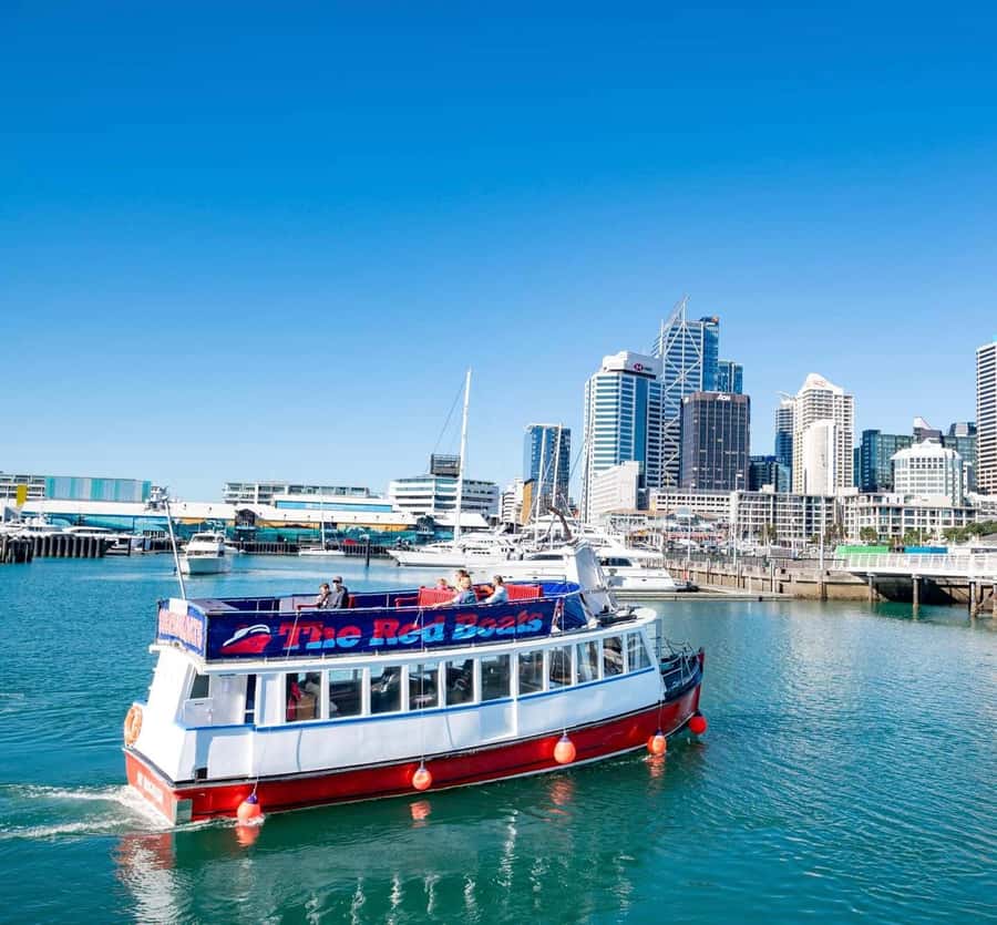 Auckland: Scenic Wine and Cheese Harbour Cruise - Price and value: why $33 works for this kind of cruise