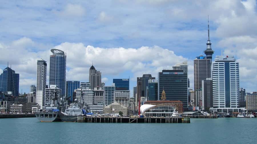 Auckland: Scenic Wine and Cheese Harbour Cruise - Should you book the Red Boats Auckland Harbour Cruise?