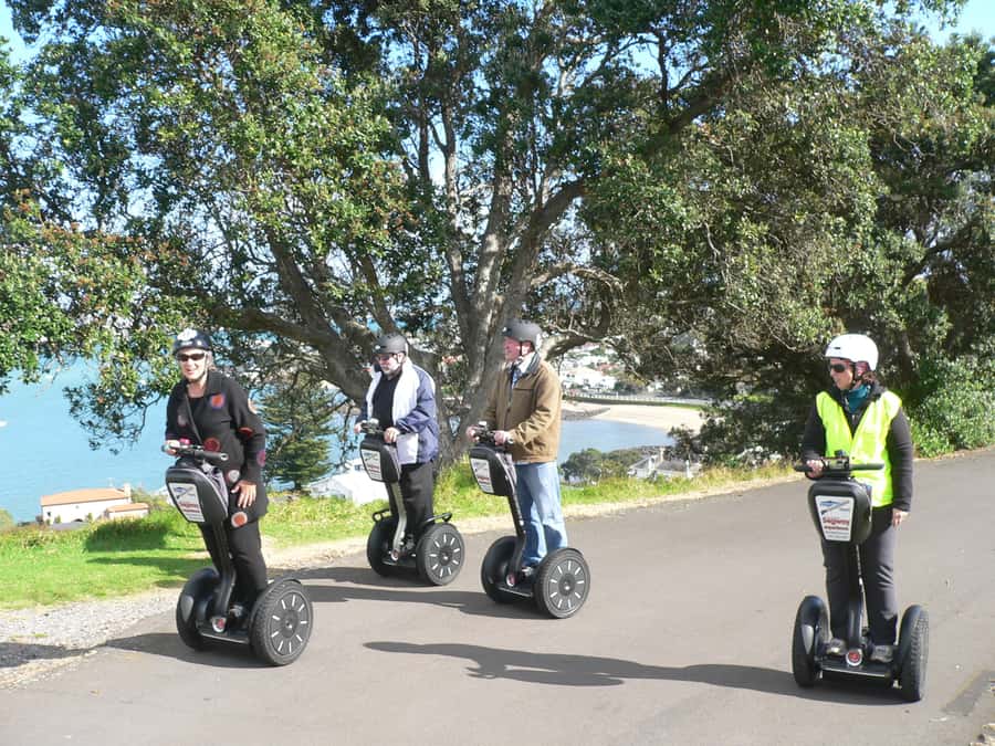 Auckland: Segway to North Head Volcano Summit - Who this Segway to North Head is best for