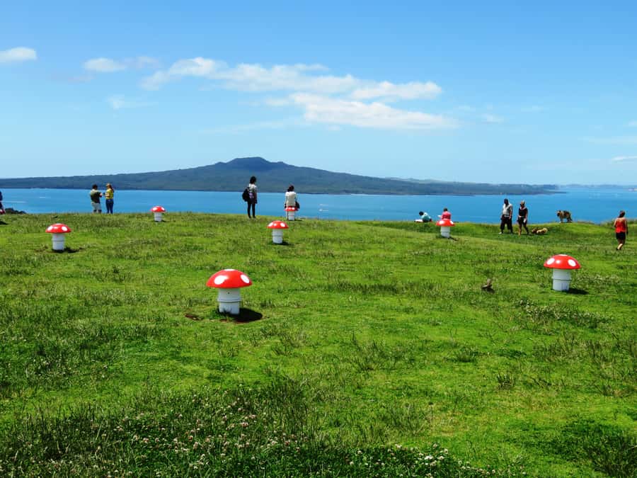 Auckland: Segway Tour to Mount Victoria - Waterfront Glide And Park Practice: Where You Learn the Fun Parts