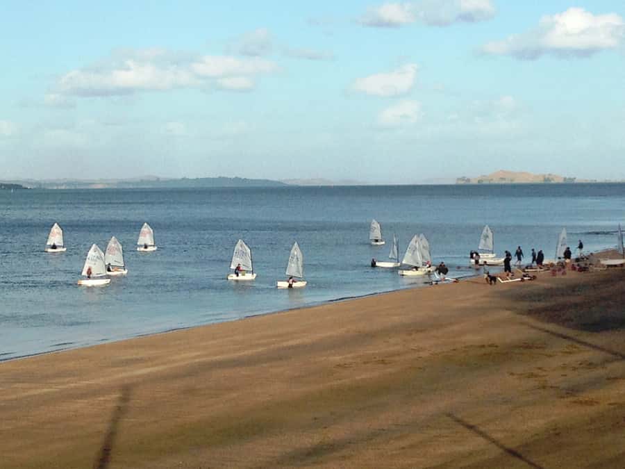 Auckland: Segway Tour to Mount Victoria - Cambria Reserve: The Quarry-To-Park Detour With Native Birds