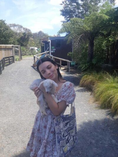 Sheepworld, Honey Centre, & Kauri Trail Tour