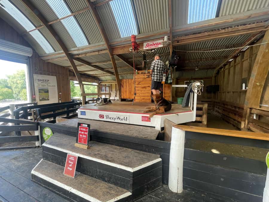 Auckland: Sheepworld, Honey Centre, & Kauri Trail Tour - Price and value for $172: what you get in 6 hours