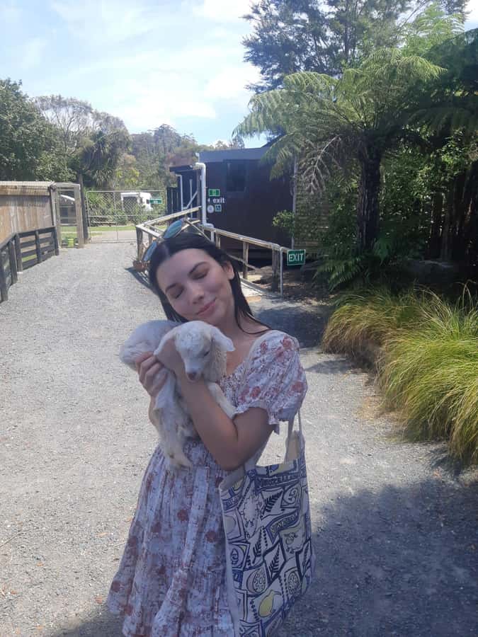 Auckland: Sheepworld, Honey Centre, & Kauri Trail Tour - The Honey Centre in Warkworth: tasting Manuka and watching the process