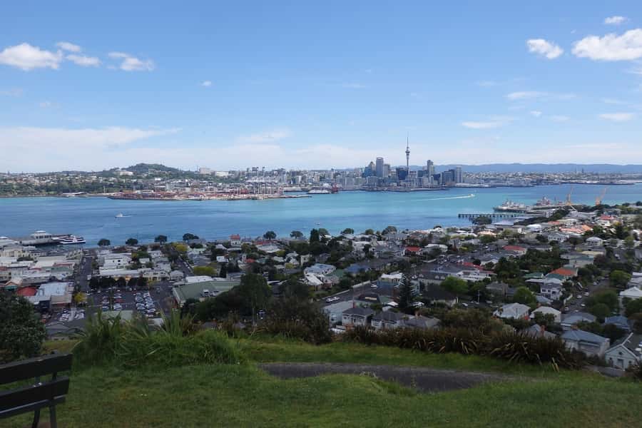 Auckland: Ship to Shore Full-Day Excursion - Auckland Domain, Wintergardens, and Fernery for a calmer pause