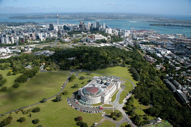Auckland Shore Excursion: Half-Day Guided City Tour - Why this Auckland shore tour feels efficient (and fun)