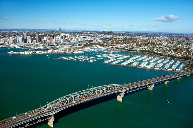 Auckland Shore Excursion: Half-Day Guided City Tour - Meeting point, pickup, and how the timing works from the cruise port