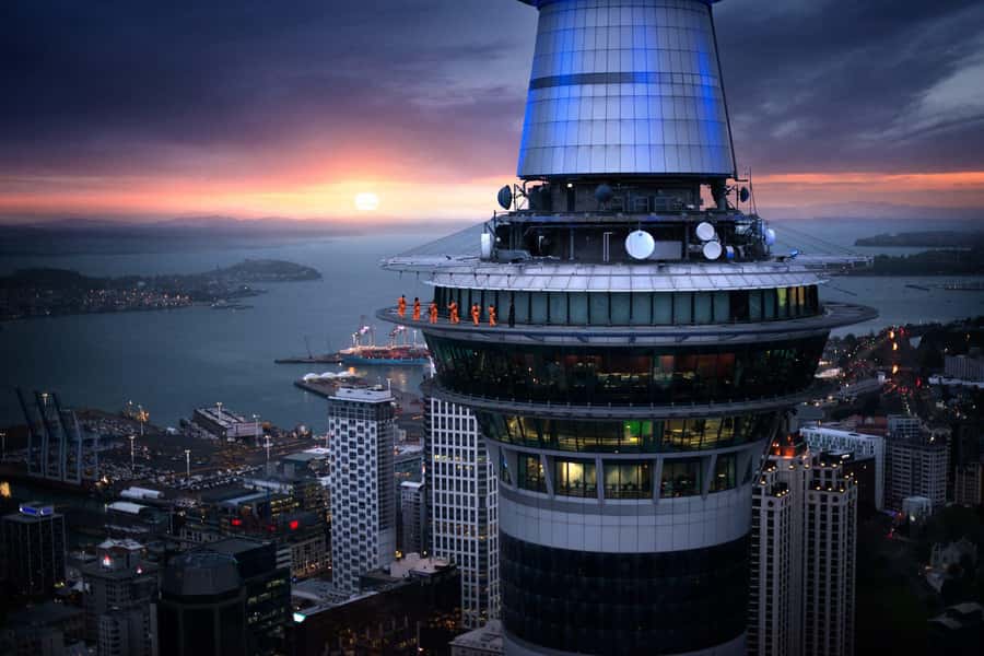 Auckland: SkyJump & SkyWalk Combo - Practical tips during SkyWalk so you don’t fight your own brain