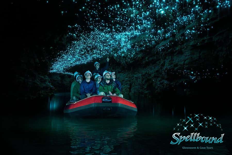 Auckland: Spellbound Glowworm Caves Explorer Tour - Key highlights worth planning for