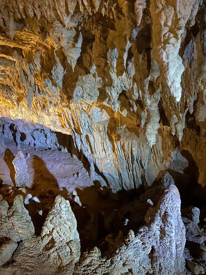 Auckland: Spellbound Glowworm Caves Explorer Tour - Glowworm Grotto, where the light does the talking