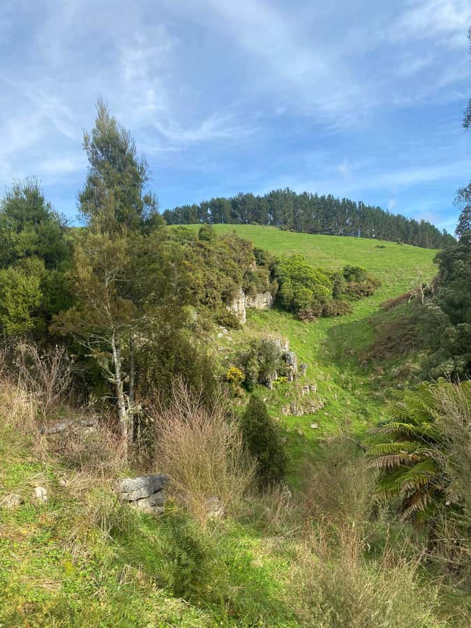 Auckland: Spellbound Glowworm Caves Explorer Tour - Guides and drivers make or break long days