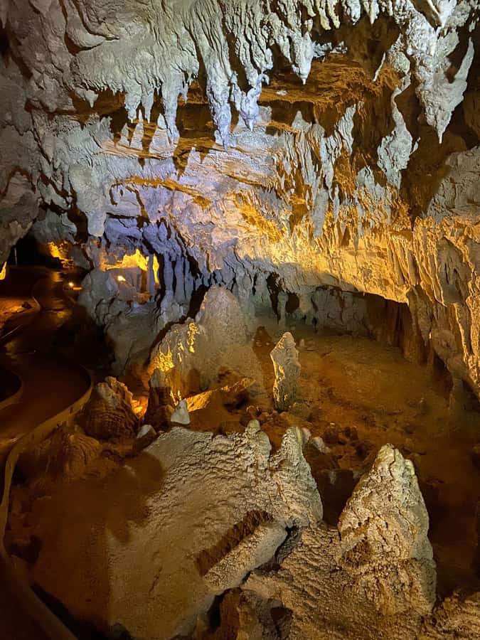 Auckland: Spellbound Glowworm Caves Explorer Tour - Price and value: $194 for a full Auckland day