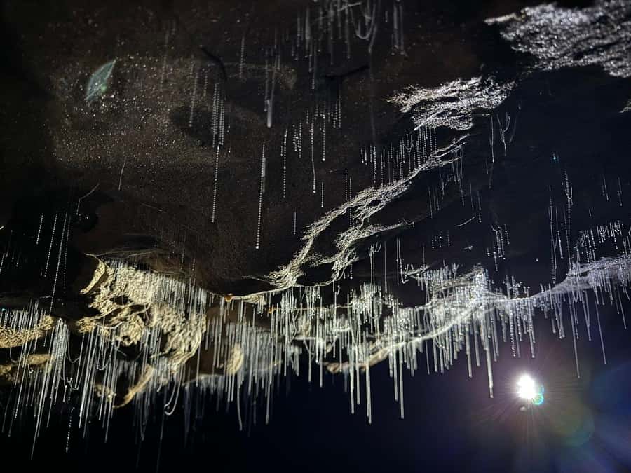 Auckland: Spellbound Glowworm Caves Explorer Tour - Two caves, each with its own mood